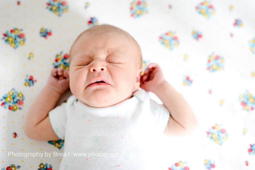 Solon-OH-newborn-photographer-1-11