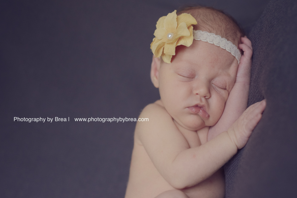 Solon-OH-newborn-photographer-1-19
