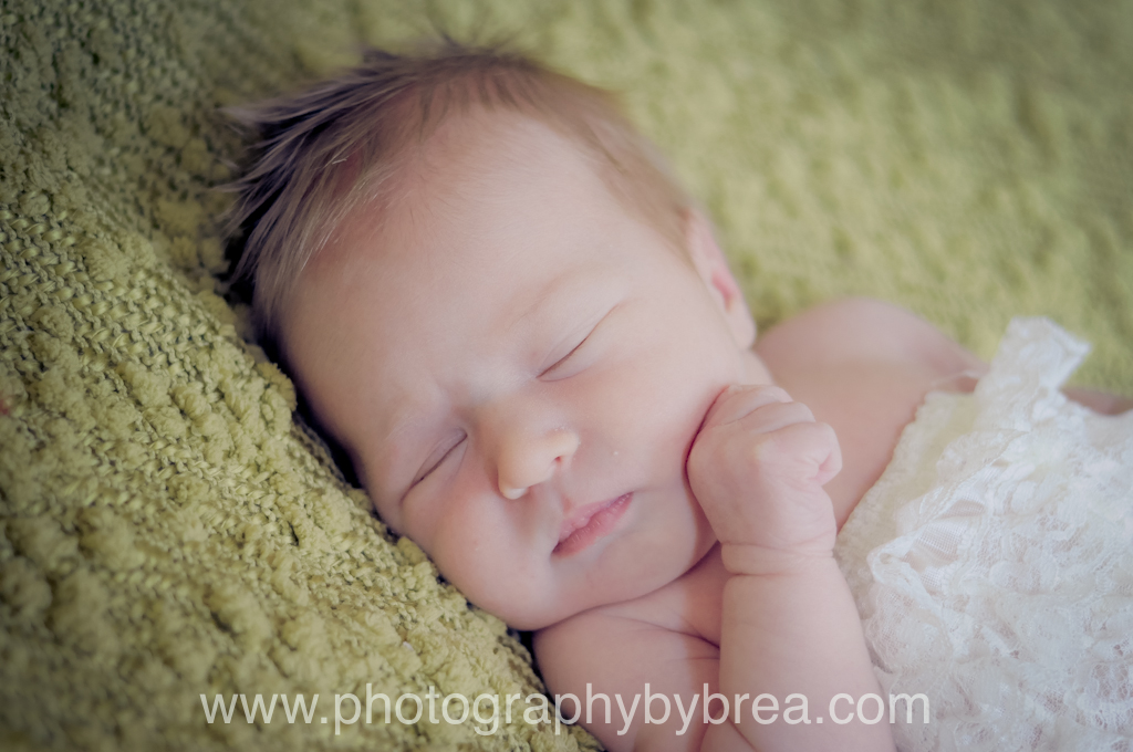 cleveland-newborn-photography