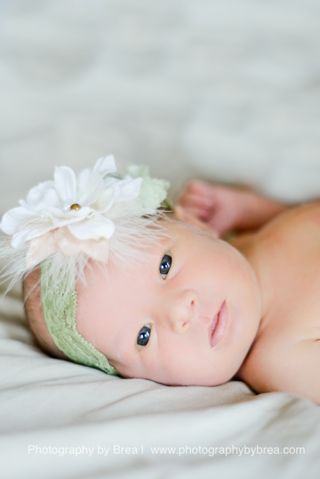 cleveland-newborn-family-photographer