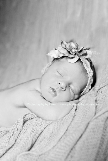newborn-girl-photographer-avon-lake-oh
