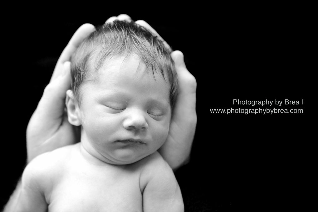 cleveland-newborn-photographer-1-10