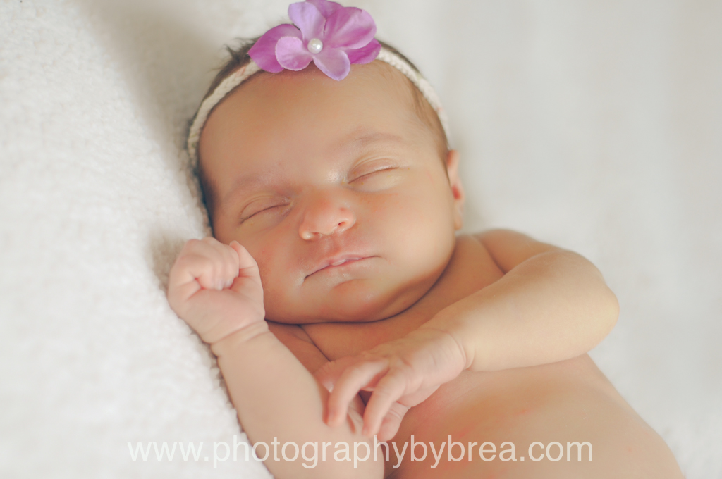 brunswick-newborn-photographer