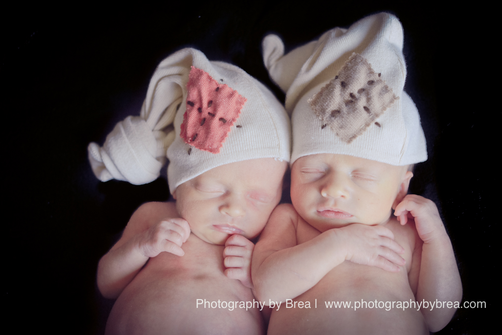 cleveland-newborn-photographer-1-4