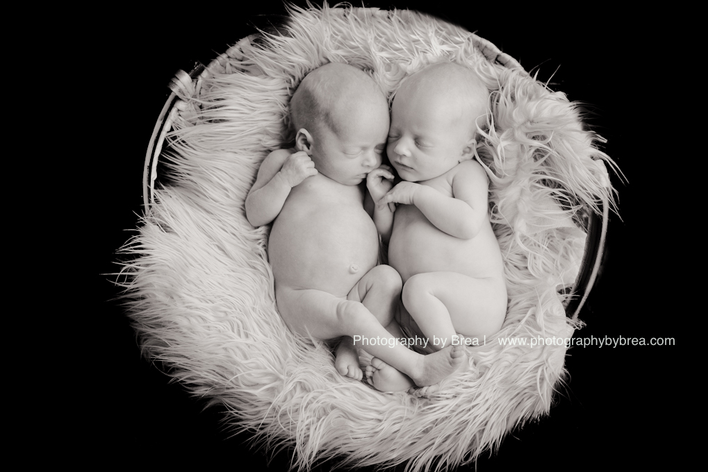 cleveland-newborn-photographer-1-6