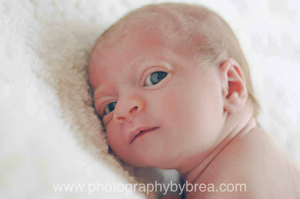 avon-oh-newborn-photographer