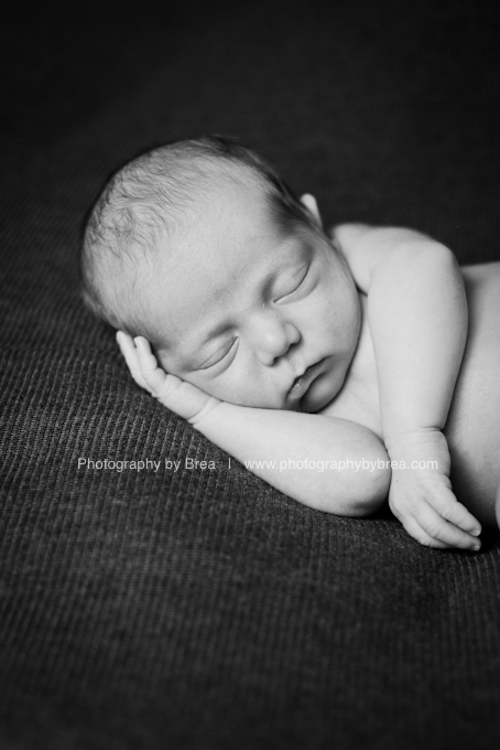 best-cleveland-newborn-photographer