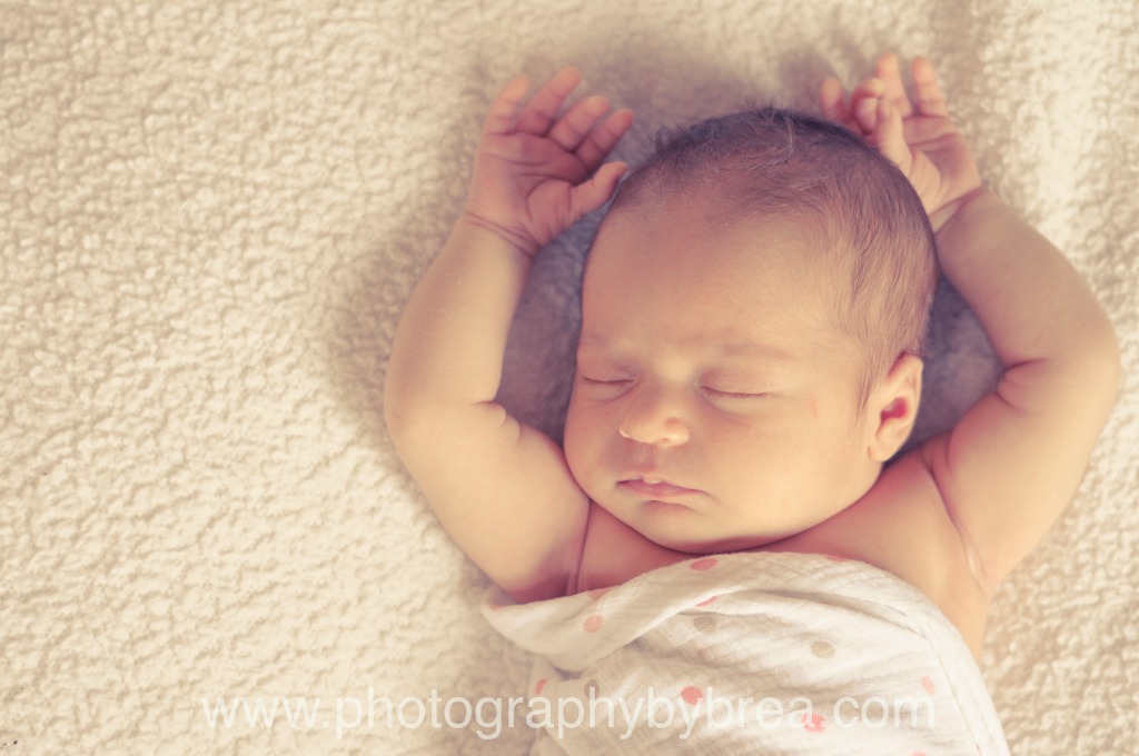 brunswick-newborn-photographer