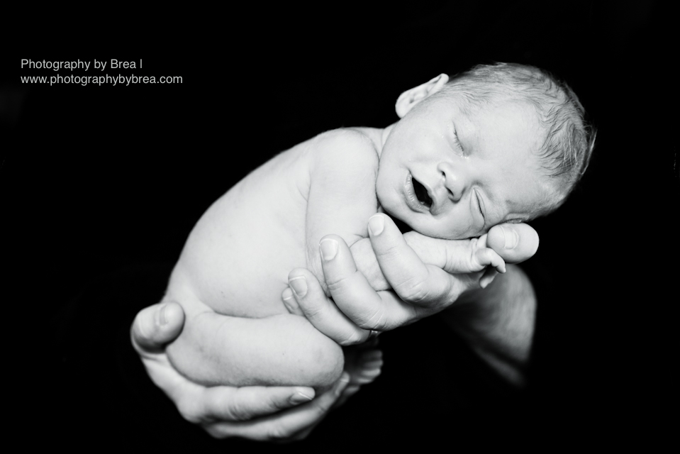 cleveland-oh-newborn-child-photographer-1-25