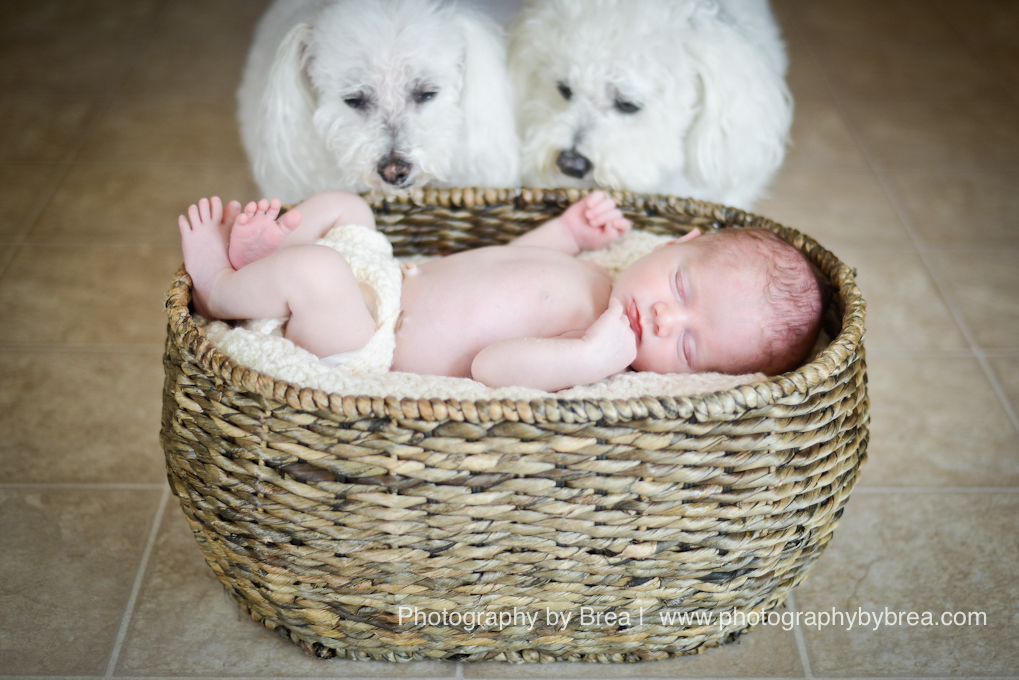 cleveland-oh-newborn-photographer-1-12