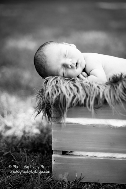 cleveland-oh-newborn-photographer-1-14