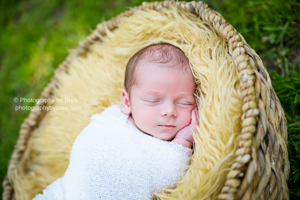 cleveland-oh-newborn-photographer-1-16