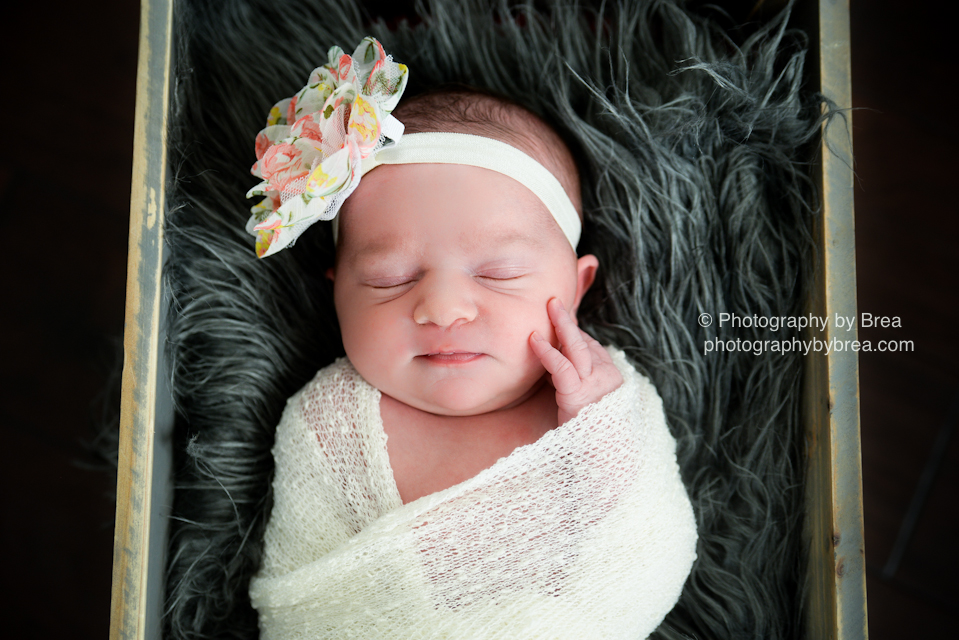 hudson-oh-newborn-photographer-1-3
