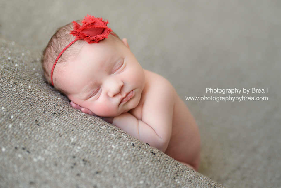 hudson-oh-newborn-photographer-1-7