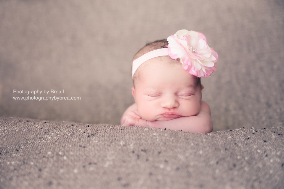 hudson-oh-newborn-photographer-1-8